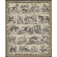 Musée des animaux domestiques et familiers. N° 2.