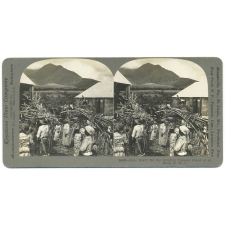 Cane Ready for the Grinding Process, Island of St Kitts, B.W.I.