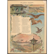 Les Deux pigeons. (Fable de La Fontaine).