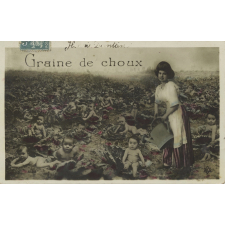 Graine de choux.