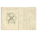 Cahier de devoirs d'Ernestine Thomé, élève à l'école de filles du Mériot (Aube).  