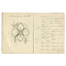Cahier de devoirs d'Ernestine Thomé, élève à l'école de filles du Mériot (Aube).  