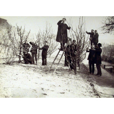 Ecole Normale d'instituteurs du Puy - Taille des arbres fruitiers (10 février 1899). 