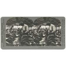 Florida Tobacco, U.S.A.