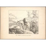 Fable de La Fontaine. . Le Mulet se vantant de sa généalogie.
Illustration.