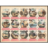 Fables de La Fontaine. Maximes, proverbes, extraits de fables. Illustrations.