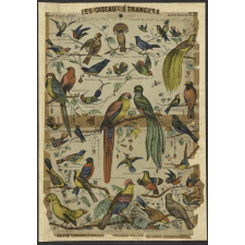 Les Oiseaux étrangers. Histoire Naturelle. Nouvelle Imagerie d'Epinal. N° 78.