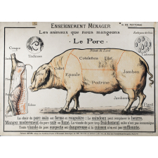 Enseignement ménager. Les animaux que nous mangeons. Le Porc.