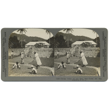 Drying Cocoa in the Best Way - Under the Sun, Dominica, B.W.I.