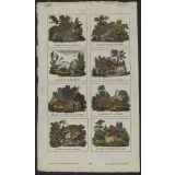 Fables de La Fontaine et autres bestiaires. Planche de l'imagerie de Lille. 