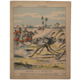 Chasse à l'autruche - La chasse n°7.