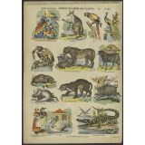 Animaux du Jardin des Plantes.