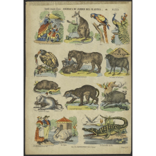 Animaux du Jardin des Plantes.