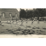 478 - Combrée (M.-&-L.) - La Gauloise - V. Bâton.