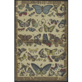 Histoire Naturelle (papillons). Nouvelle Imagerie d'Epinal. N° 777.