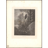Fable de La Fontaine. L'Aigle et la Pie.