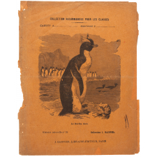 Le Gorfou doré - Histoire naturelle n°28.