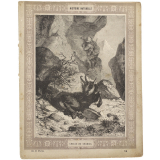 Chasse au chamois - Histoire naturelle n°14.