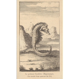 Le poisson Cavalleto (Hippocampe).