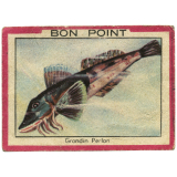 Grondin perlon