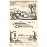 OEconomie Rustique, Indigoterie et Manioc.
