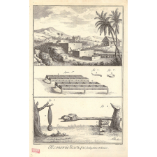 OEconomie Rustique, Indigoterie et Manioc.