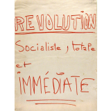 Révolution Socialiste, totale et immédiate.