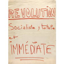 Révolution Socialiste, totale et immédiate.