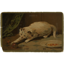 Chat