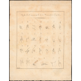 Alphabet manuel des Sourds-Muets.