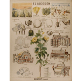 Tableau mural. El algodon.