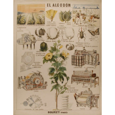 Tableau mural. El algodon.