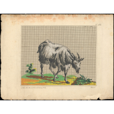 Modèle de broderie.