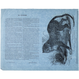 Le Léopard.
