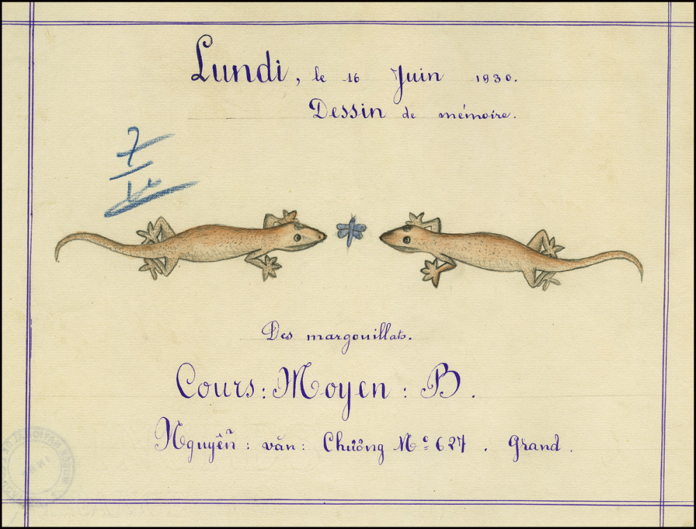 Cochinchine/Dessin de mémoire : des margouillats.