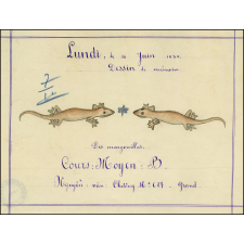 Cochinchine/Dessin de mémoire : des margouillats.