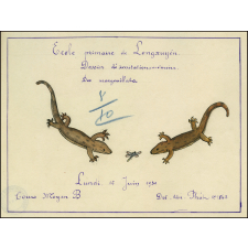 Cochinchine/Dessin d'imitation, mémoire : des margouillats.