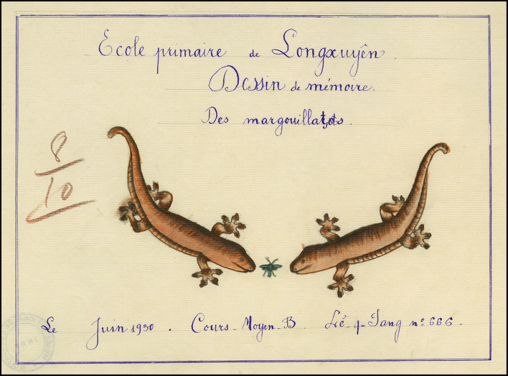 Cochinchine/Dessin de mémoire : des margouillats.
