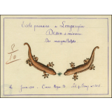 Cochinchine/Dessin de mémoire : des margouillats.
