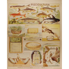 Tableau mural. Piscicultura.