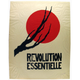 Révolution essentielle.
