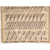 Cahiers d'écriture. 