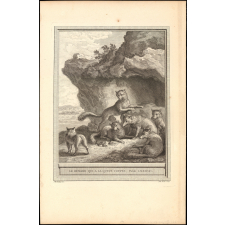 Fable de La Fontaine. Le Renard qui a la queue coupée. Fable LXXXVII.