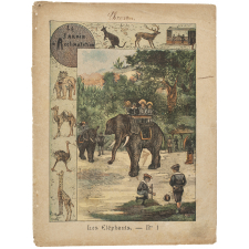 Les éléphants