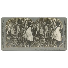Pickaninnles' Candy Store, St. Kitts, B.W.I.