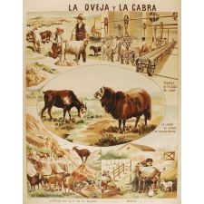 Tableau mural. La oveja y la cabra.