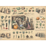 Les légumes.