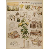 Tableau mural. El algodon.