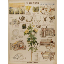 Tableau mural. El algodon.