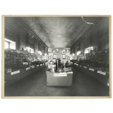 Exposition de travaux d'élèves sur le thème des contes et légendes. 